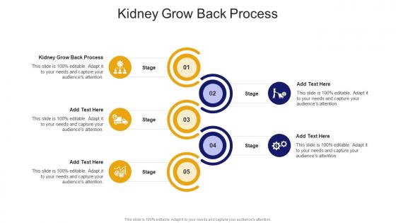 Kidney Grow Back Process In Powerpoint And Google Slides Cpb