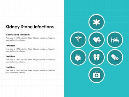 Kidney stone infections ppt powerpoint presentation slide