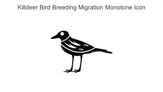Killdeer Bird Breeding Migration Monotone Icon In Powerpoint Pptx Png And Editable Eps Format