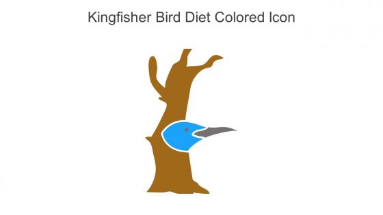 Kingfisher Bird Diet Colored Icon In Powerpoint Pptx Png And Editable Eps Format