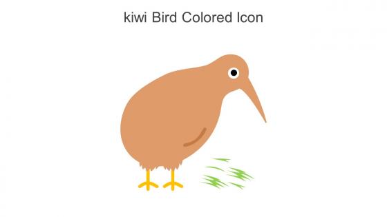 Kiwi Bird Colored Icon In Powerpoint Pptx Png And Editable Eps Format