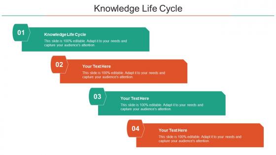 Knowledge Life Cycle Ppt Powerpoint Presentation Professional Background Images Cpb