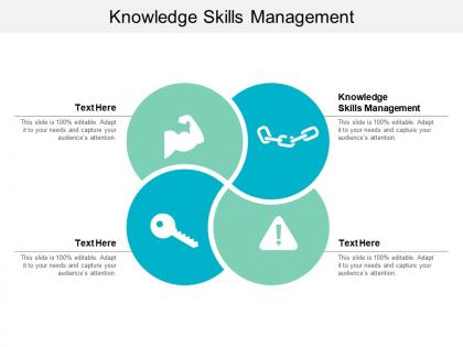 Knowledge skills management ppt powerpoint presentation styles graphics cpb