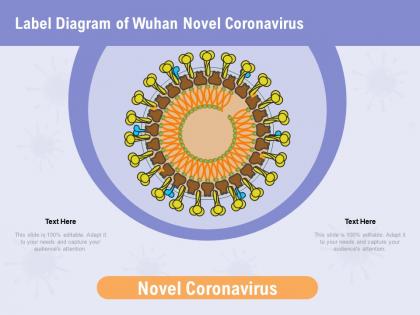 Label diagram of wuhan novel coronavirus adapt ppt powerpoint presentation pictures graphics