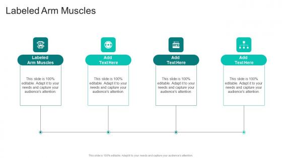 Labeled Arm Muscles In Powerpoint And Google Slides Cpb