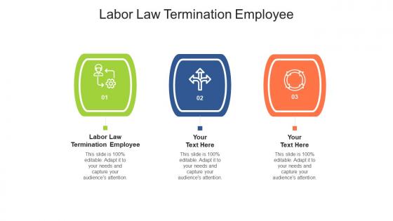Labor law termination employee ppt powerpoint presentation show example file cpb