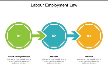 Labour employment law ppt powerpoint presentation ideas graphics cpb