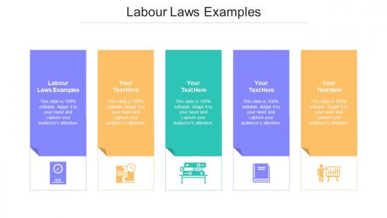 Labour Laws Examples Ppt Powerpoint Presentation Infographic Template Skills Cpb
