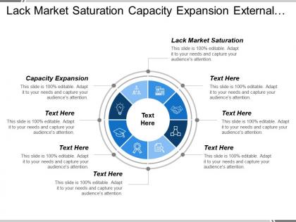 Lack market saturation capacity expansion external executive survey