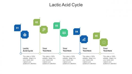 Lactic acid cycle ppt powerpoint presentation icon background images cpb