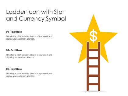 Ladder icon with star and currency symbol