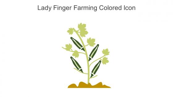 Lady Finger Farming Colored Icon In Powerpoint Pptx Png And Editable Eps Format