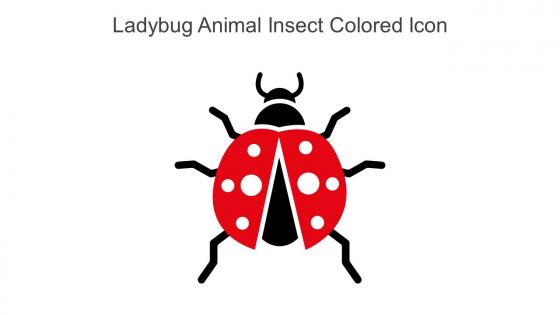 Ladybug Animal Insect Colored Icon In Powerpoint Pptx Png And Editable Eps Format
