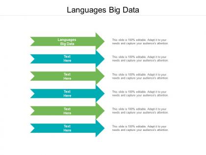 Languages big data ppt powerpoint presentation pictures example cpb
