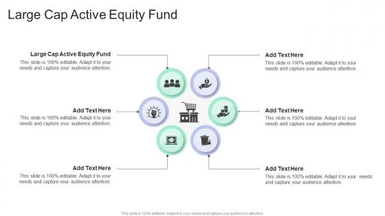 Large Cap Active Equity Fund In Powerpoint And Google Slides Cpb