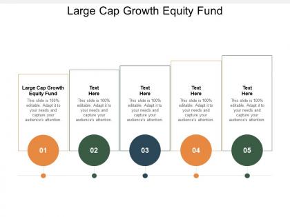 Large cap growth equity fund ppt powerpoint presentation infographics display cpb
