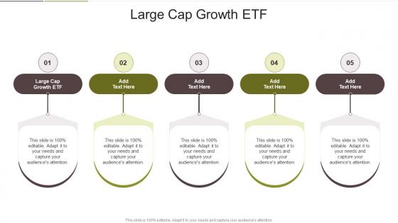 Large Cap Growth ETF In Powerpoint And Google Slides Cpb