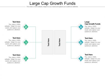 Large cap growth funds ppt powerpoint presentation portfolio microsoft cpb