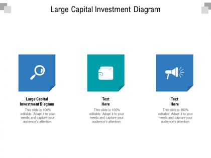 Large capital investment diagram ppt powerpoint presentation ideas images cpb