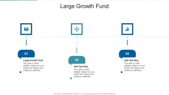 Large Growth Fund In Powerpoint And Google Slides Cpb