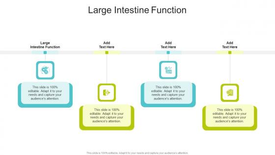 Large Intestine Function In Powerpoint And Google Slides Cpb
