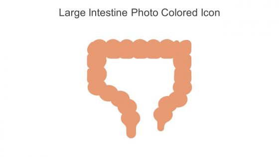 Large Intestine Photo Colored Icon In Powerpoint Pptx Png And Editable Eps Format