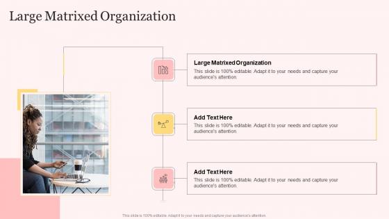 Large Matrixed Organization In Powerpoint And Google Slides Cpb