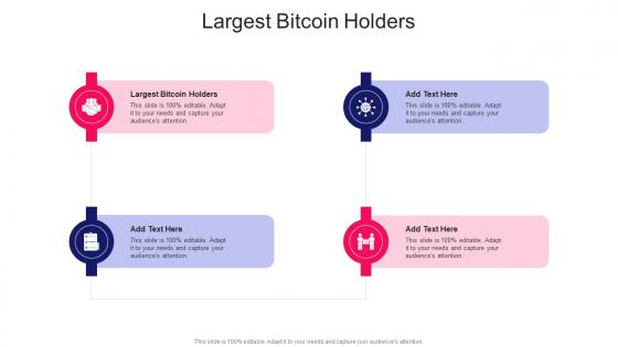 Largest Bitcoin Holders In Powerpoint And Google Slides Cpb