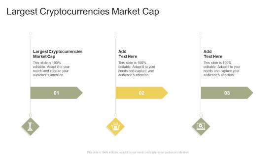 Largest Cryptocurrencies Market Cap In Powerpoint And Google Slides Cpb