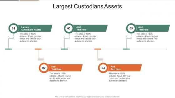 Largest Custodians Assets In Powerpoint And Google Slides Cpb