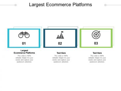 Largest ecommerce platforms ppt powerpoint presentation pictures structure cpb