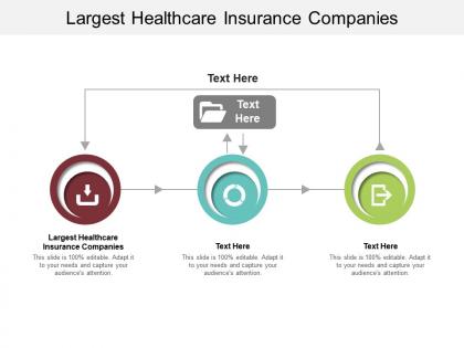 Largest healthcare insurance companies ppt powerpoint presentation professional guide cpb