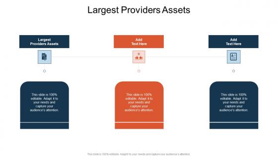 Largest Providers Assets In Powerpoint And Google Slides Cpb