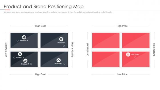 Launching A New Brand In The Market Product And Brand Positioning Map