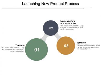 Launching new product process ppt powerpoint presentation gallery graphic tips cpb