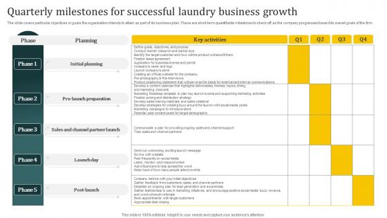 Laundromat Business Plan Quarterly Milestones For Successful Laundry Business BP SS