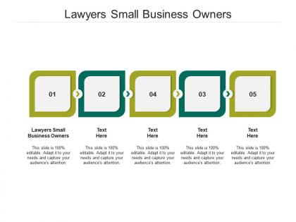 Lawyers small business owners ppt powerpoint presentation styles graphic tips cpb