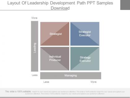 Layout of leadership development path ppt samples download