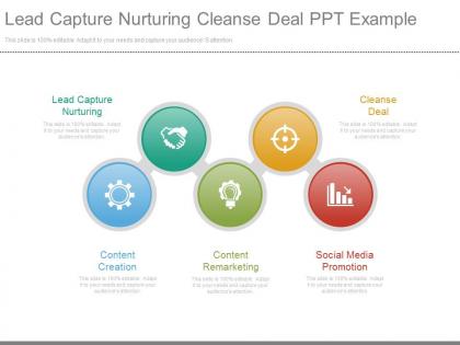 Lead capture nurturing cleanse deal ppt example