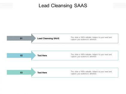Lead cleansing saas ppt powerpoint presentation rules cpb