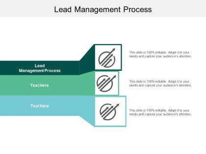 Lead management process ppt powerpoint presentation portfolio shapes cpb