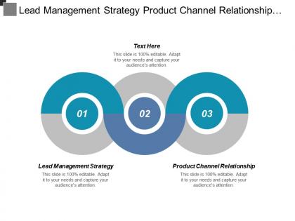 Lead management strategy product channel relationship target audience cpb