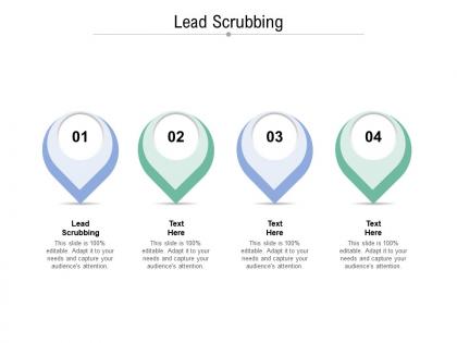 Lead scrubbing ppt powerpoint presentation file outline cpb