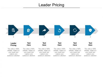 Leader pricing ppt powerpoint presentation styles files cpb