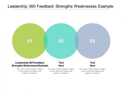 Leadership 360 feedback strengths weaknesses example ppt powerpoint presentation gallery outline cpb