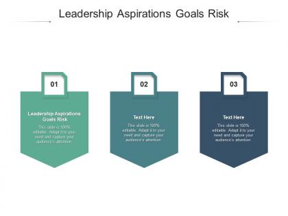 Leadership aspirations goals risk ppt powerpoint presentation professional shapes cpb