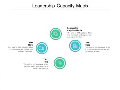 Leadership capacity matrix ppt powerpoint presentation outline example cpb