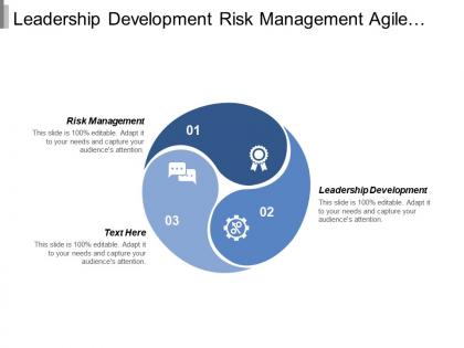 Leadership development risk management agile project management software development cpb