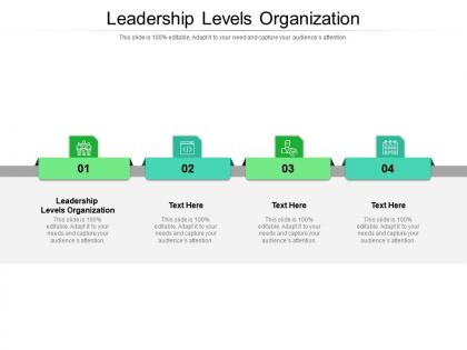 Leadership levels organization ppt powerpoint presentation slides vector cpb
