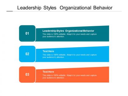Leadership styles organizational behavior ppt powerpoint presentation portfolio themes cpb